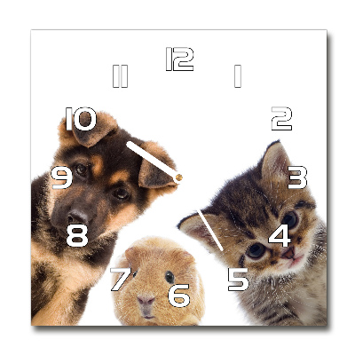 Square glass wall clock Pets