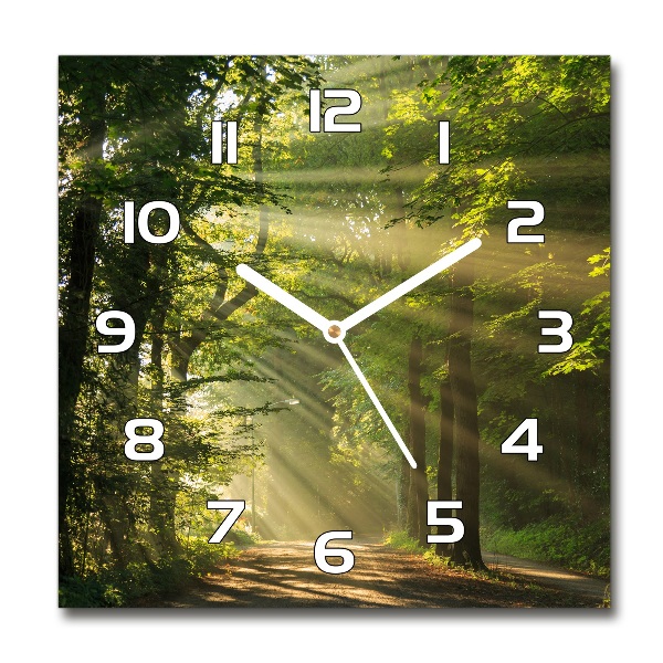 Square glass wall clock Forest in the sun