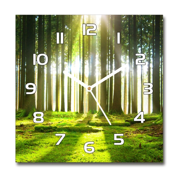 Square wall clock Forest in the sun