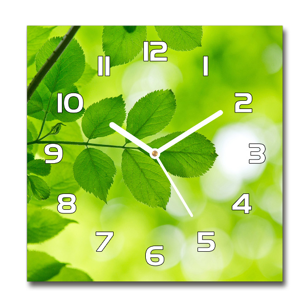 Square kitchen clock Green leaves