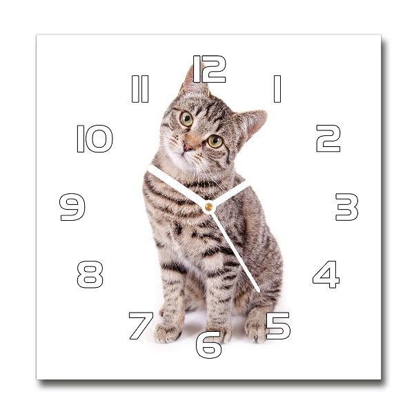 Square wall clock Cat