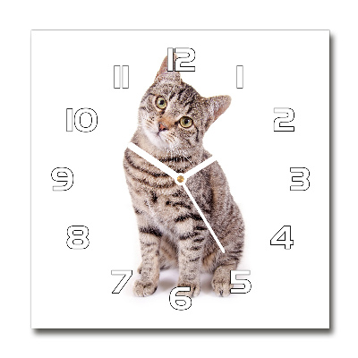 Square wall clock Cat