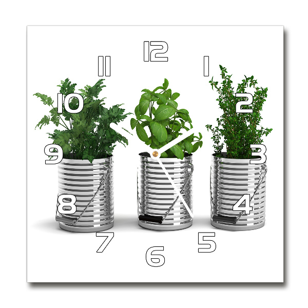 Square glass wall clock Aromatic plants