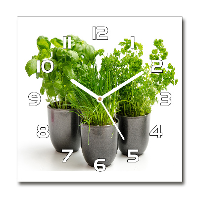 Square wall clock Herbs in pots