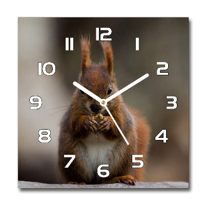 Square wall clock Squirrel