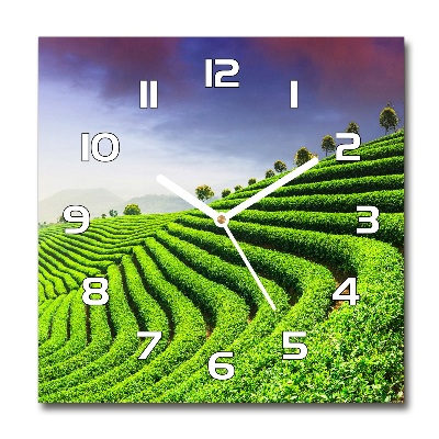 Square kitchen clock Tea plantation