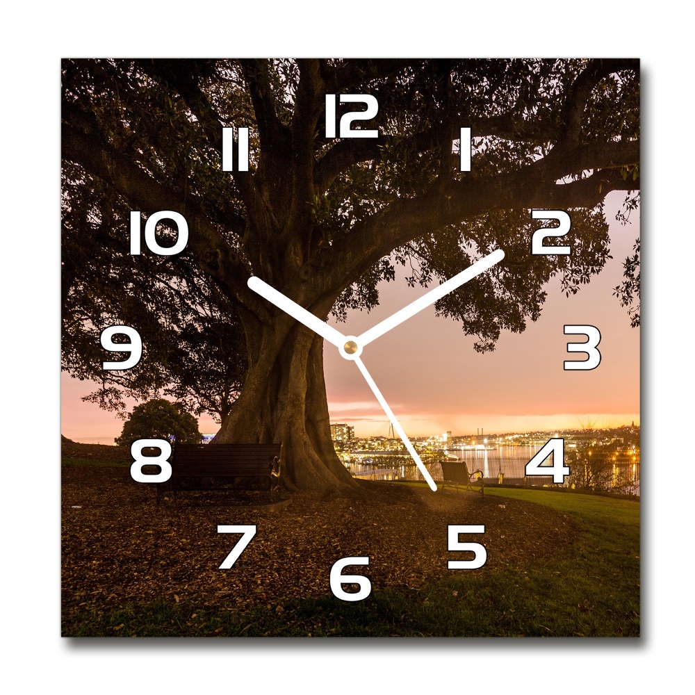 Square wall clock Old tree