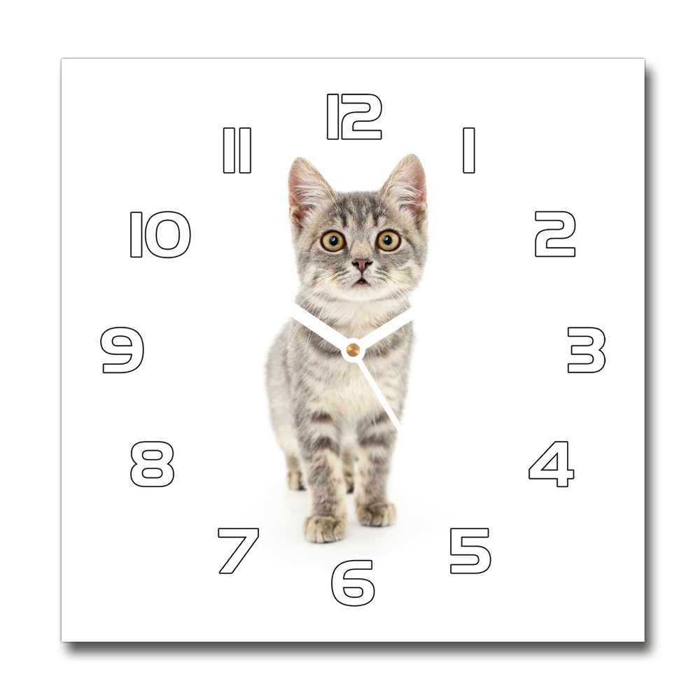 Square wall clock Gray cat