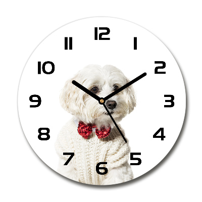 Round wall clock Maltese in a bow tie