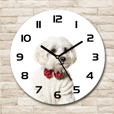 Round wall clock Maltese in a bow tie