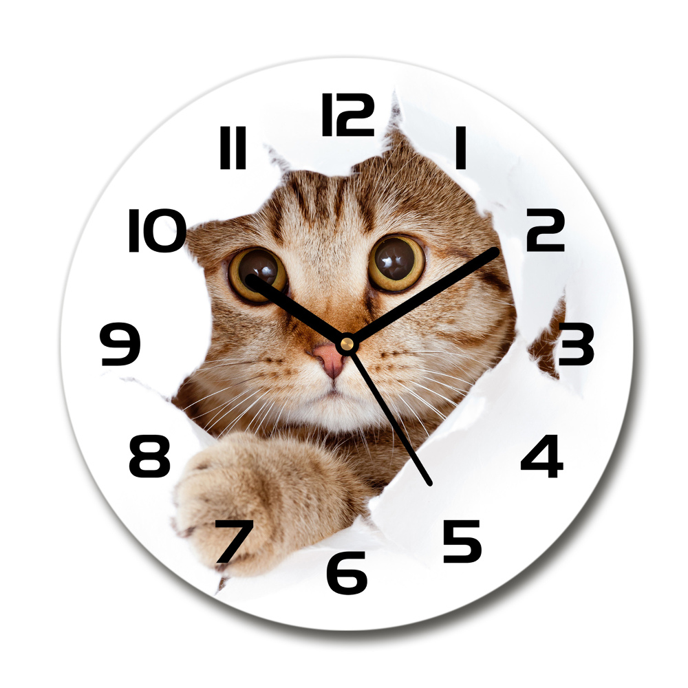 Round glass wall clock Cat