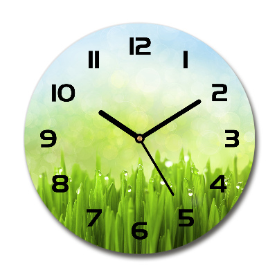 Round wall clock Grass