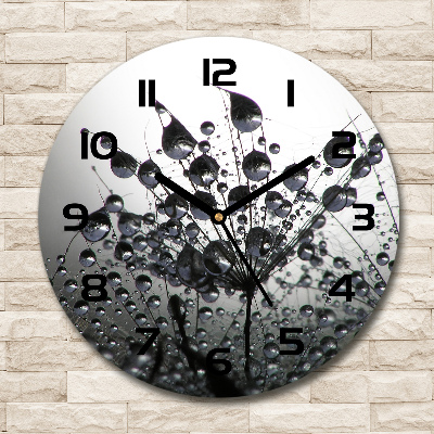 Round wall clock Dandelion seeds