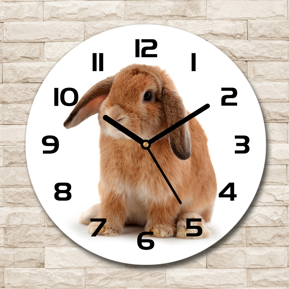 Round wall clock Rabbit ore