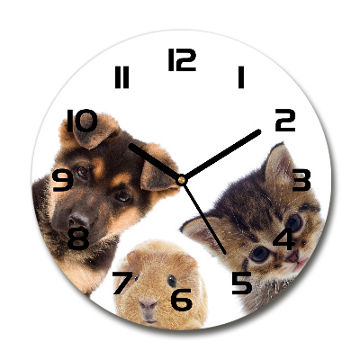 Round glass clock Pets