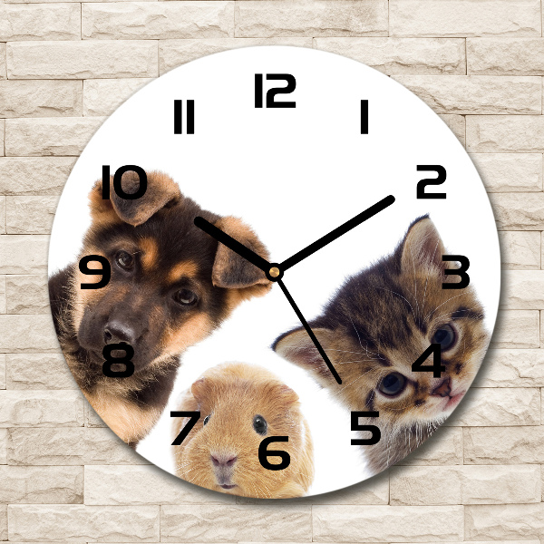 Round glass clock Pets