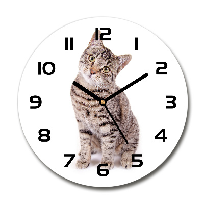 Round glass wall clock Cat