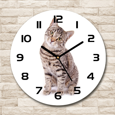 Round glass wall clock Cat