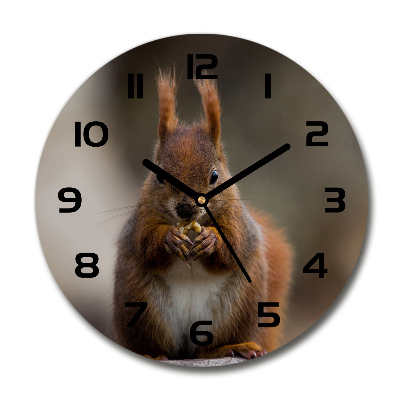 Round clock glass Squirrel