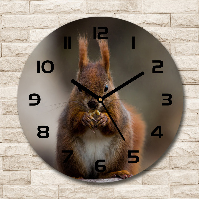 Round clock glass Squirrel