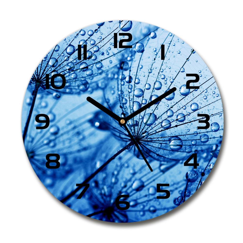 Round wall clock Dandelion seeds