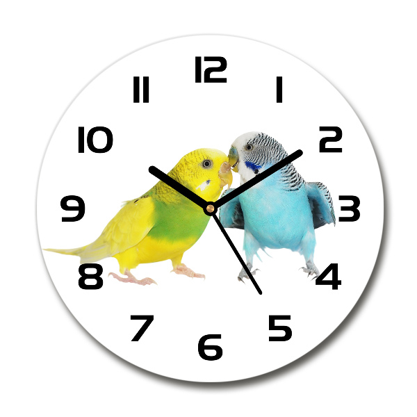 Round wall clock Faded parakeets