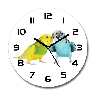 Round wall clock Faded parakeets