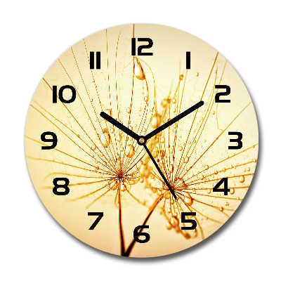 Round wall clock Dandelion seeds