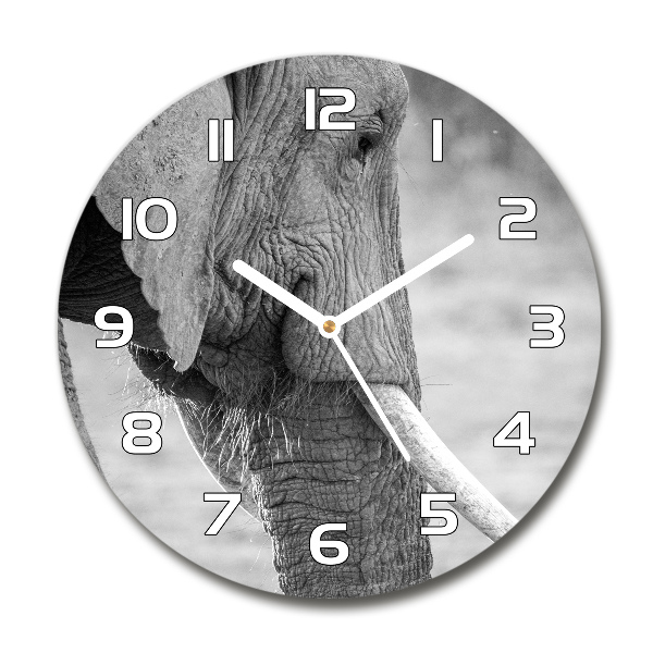 Round wall clock Elephant