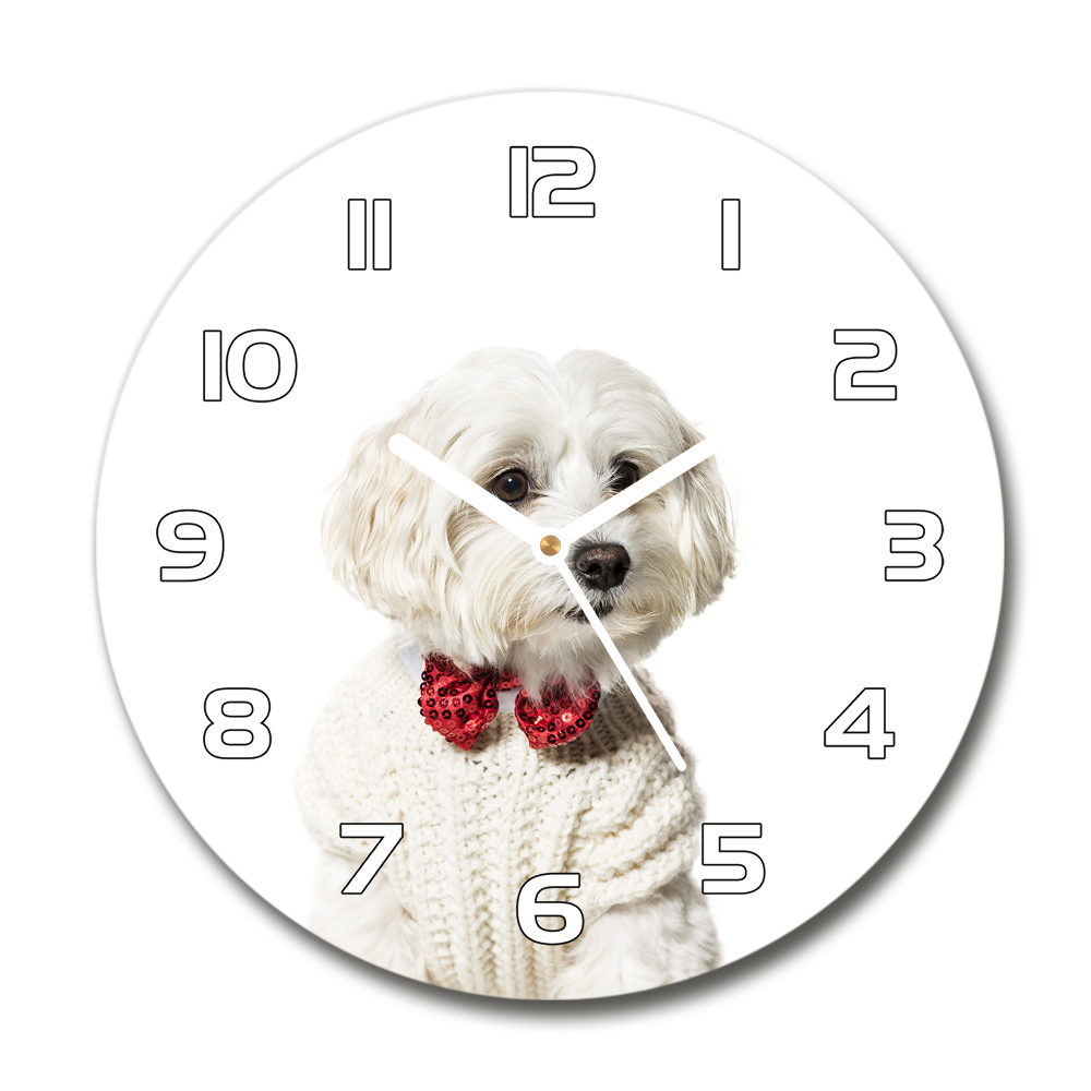 Round wall clock Maltese in a bow tie