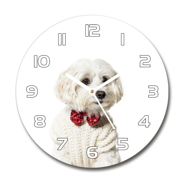 Round wall clock Maltese in a bow tie