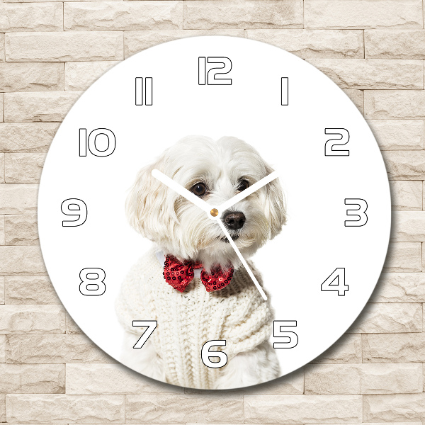 Round wall clock Maltese in a bow tie