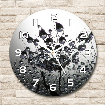 Round wall clock Dandelion seeds