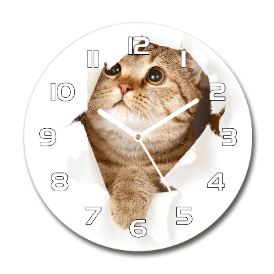 Round wall clock Cat