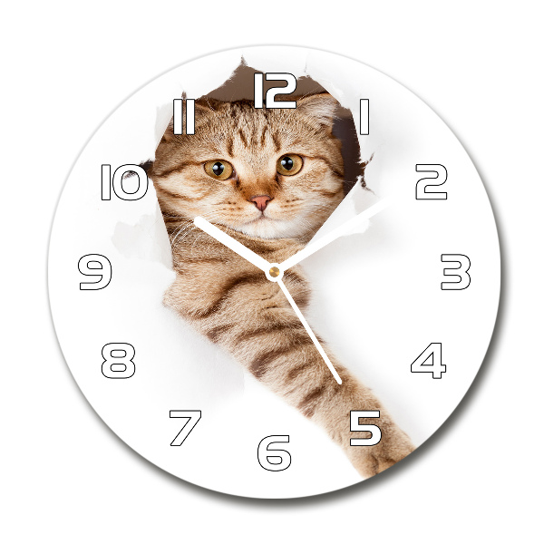 Round wall clock Cat