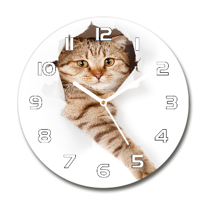 Round wall clock Cat