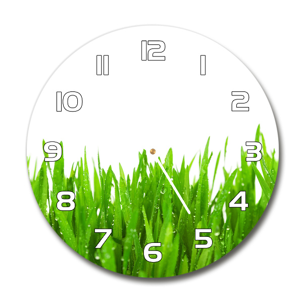 Round clock glass Grass