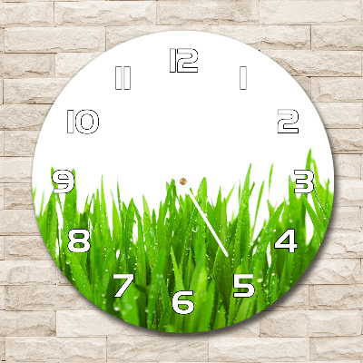 Round clock glass Grass