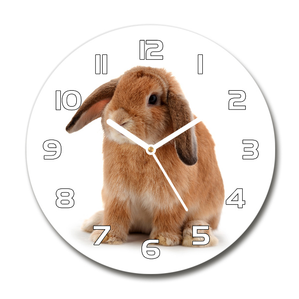 Round wall clock Rabbit ore