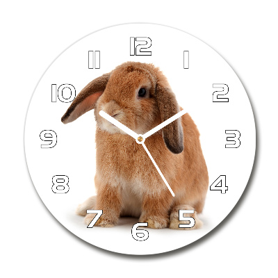 Round wall clock Rabbit ore