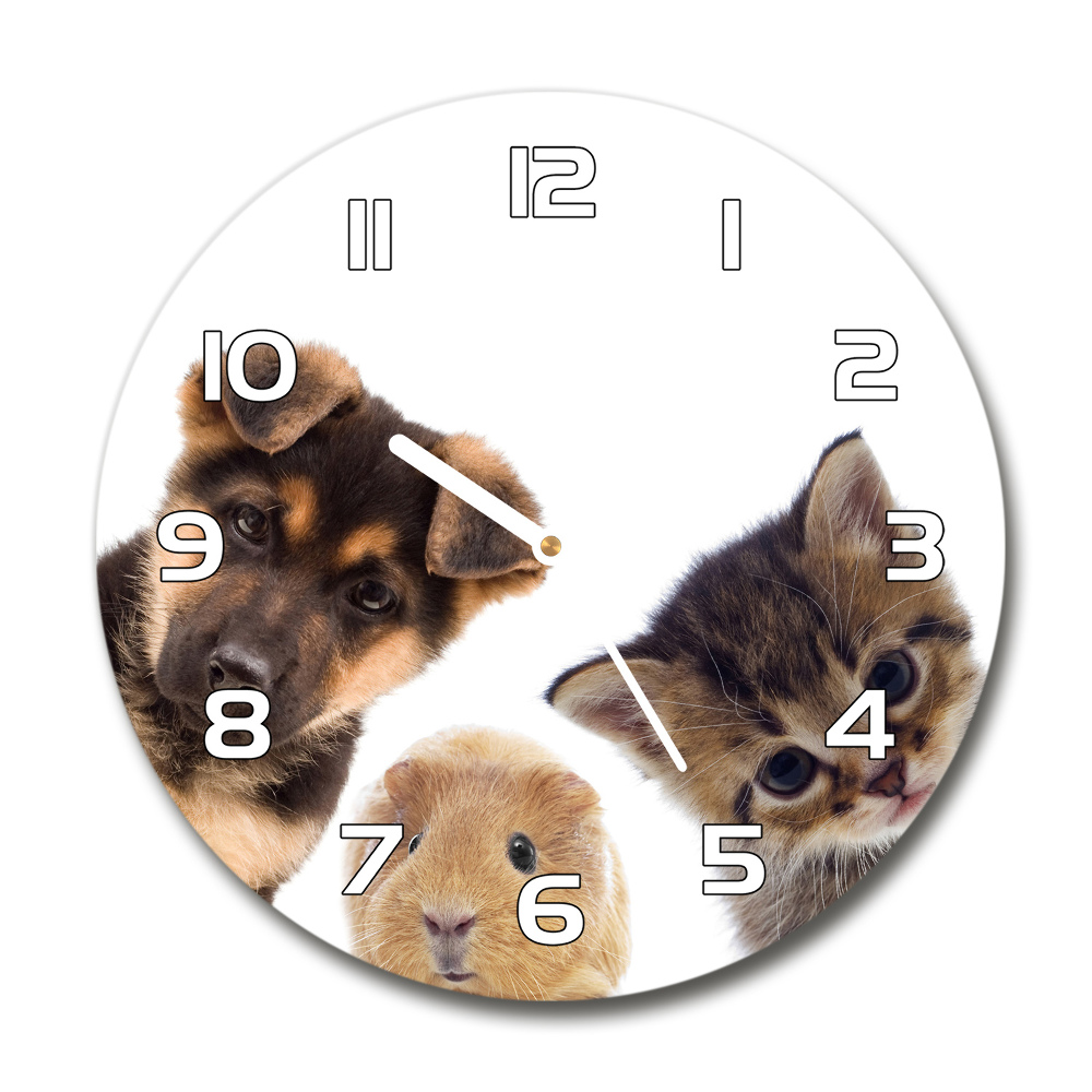 Round glass clock Pets