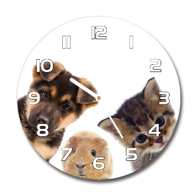 Round glass clock Pets