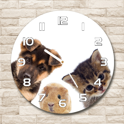 Round glass clock Pets