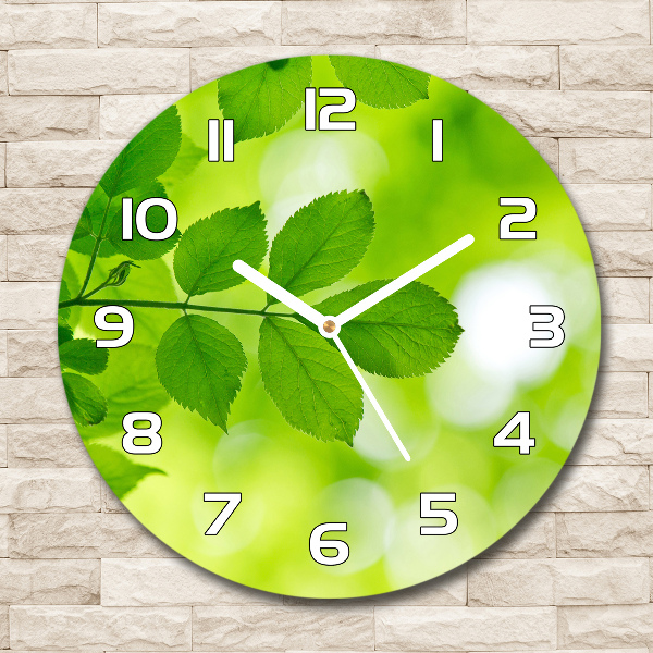 Round wall clock Green leaves