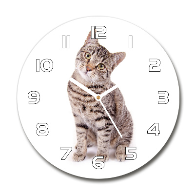 Round glass wall clock Cat