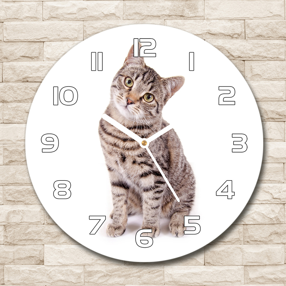 Round glass wall clock Cat