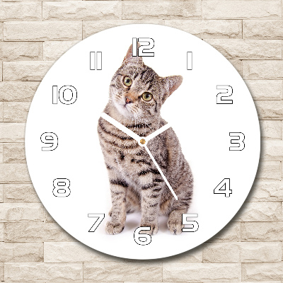 Round glass wall clock Cat