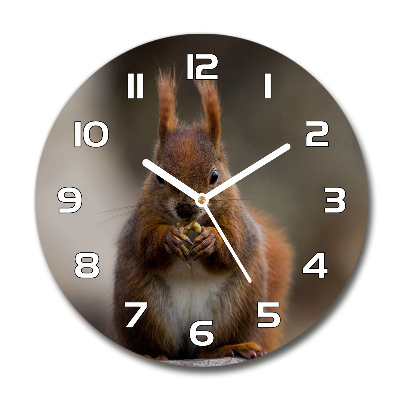 Round clock glass Squirrel