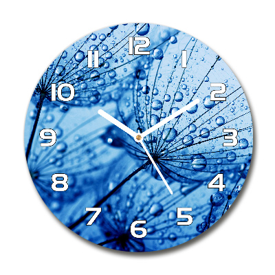 Round wall clock Dandelion seeds