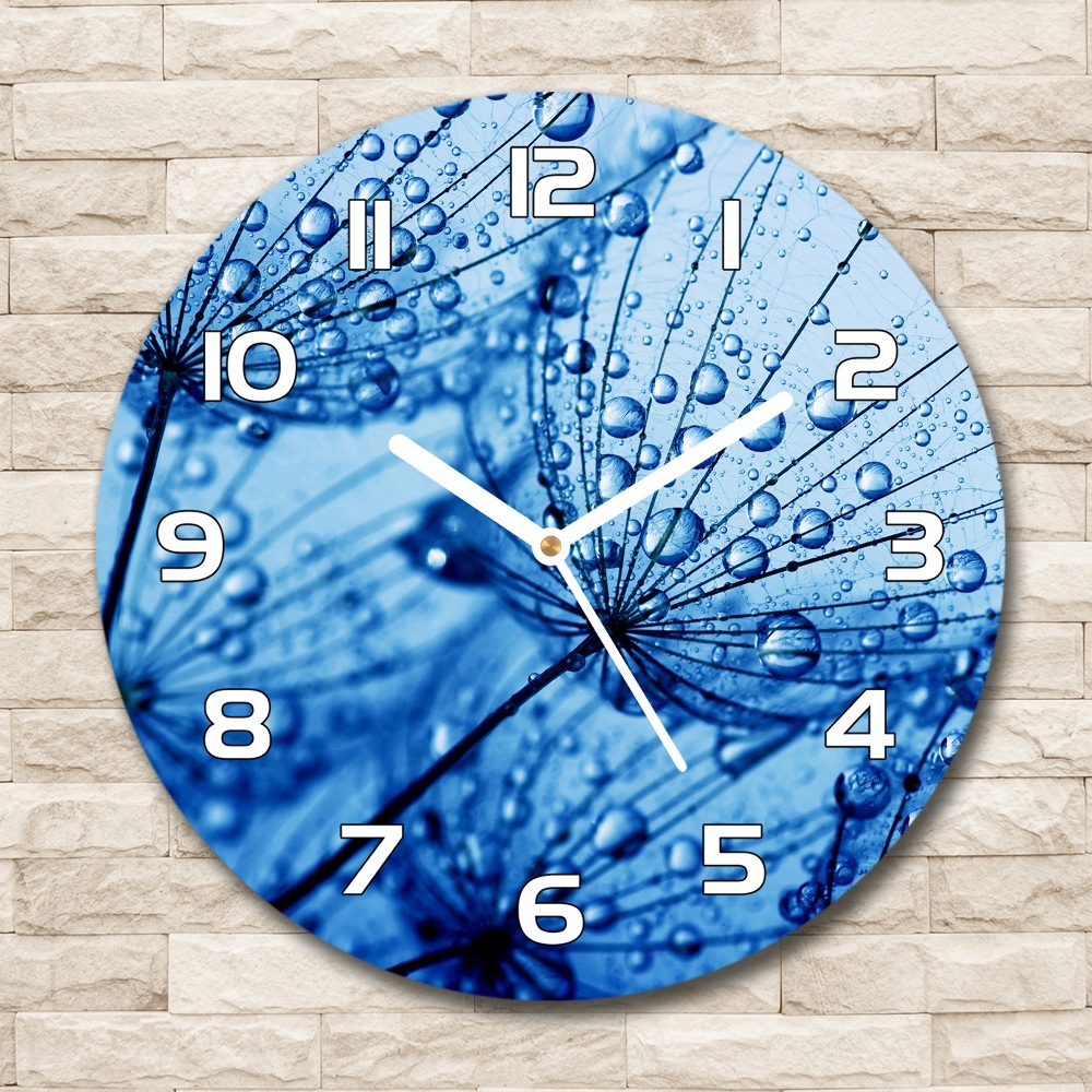 Round wall clock Dandelion seeds